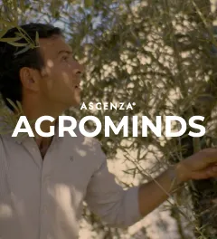 Agrominds project - Juan Manuel Jiménez, Spanish farmer, on the backgroud touching an olive tree