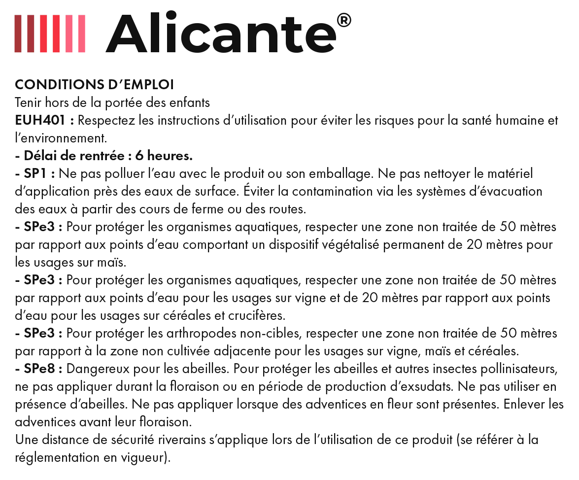 Alicante_Conditions d'emploi