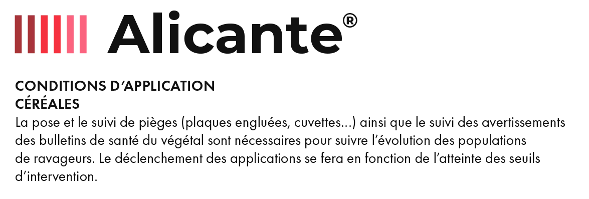 Alicante_Conditions d’application