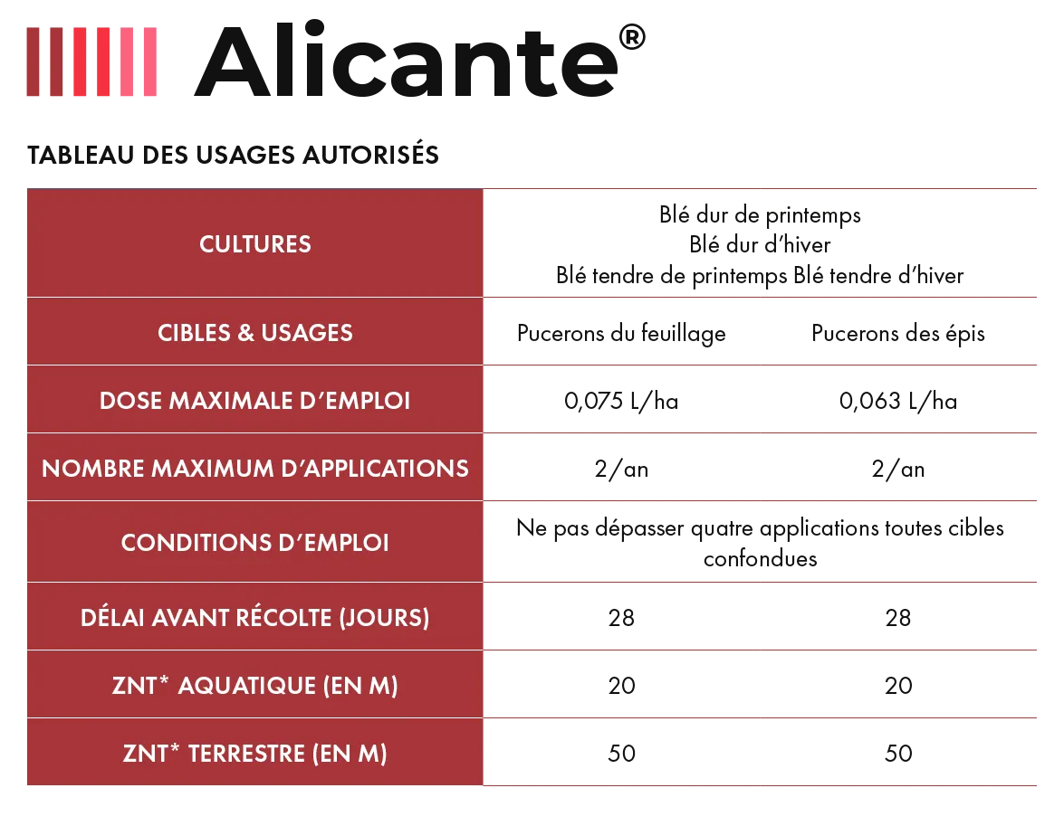 Alicante_Cereal_1