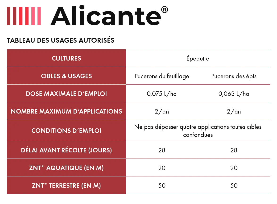 Alicante_Cereal_2