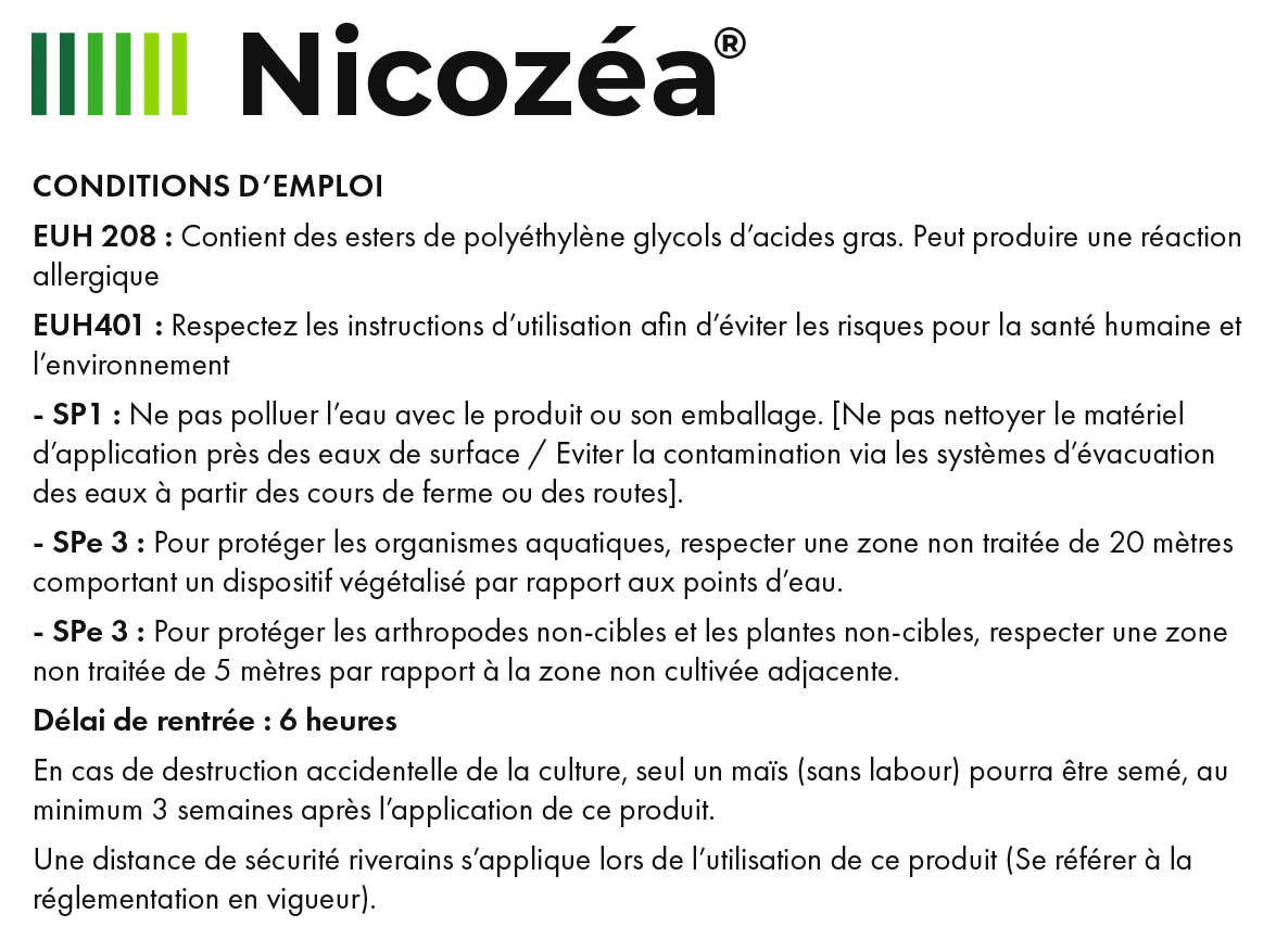 Nicozea_10
